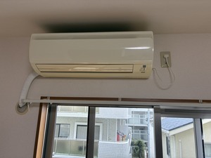 S__126787589_0.jpg