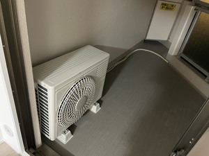 S__127442959_0.jpg
