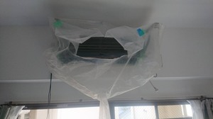 S__127991823_0.jpg