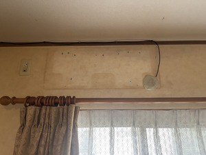 S__43950247_0.jpg