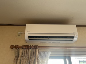 S__43950250_0.jpg