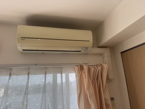 S__44318729_0.jpg
