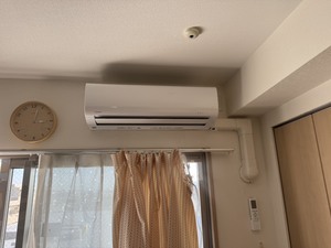 S__44318731_0.jpg