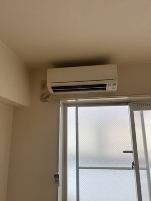 S__44400648_0.jpg