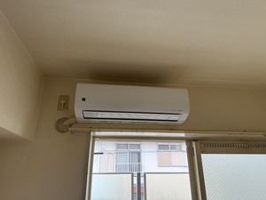 S__44400650_0.jpg