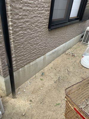 S__44400654_0.jpg
