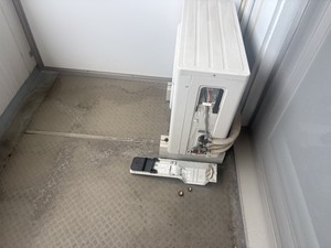 S__44474393_0.jpg