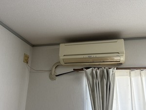 S__44474398_0.jpg