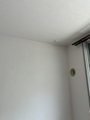 S__44474404_0.jpg