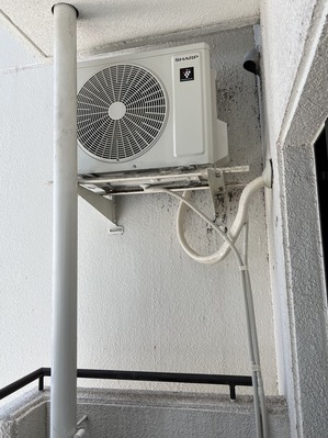 S__44490884_0.jpg