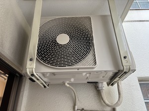 S__44507194_0.jpg
