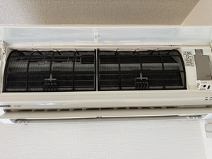S__44523597_0.jpg