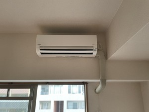 S__44597344_0.jpg