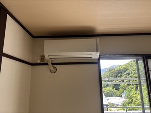 S__44630033_0.jpg