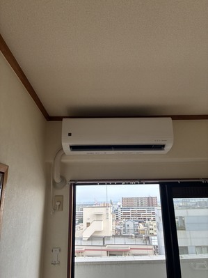 S__44703777_0.jpg