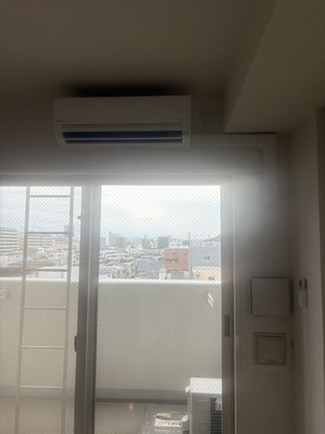 S__130727973_0.jpg