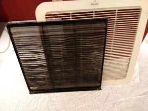 S__131497988_0.jpg