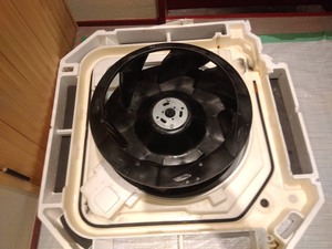 S__131497993_0.jpg