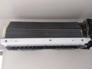 S__131694596_0.jpg