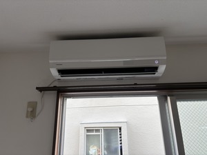 S__44941357_0.jpg