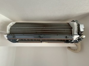 S__45342727_0.jpg