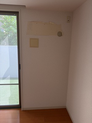 S__45842445_0.jpg