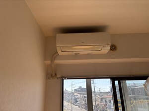 S__45908062_0.jpg