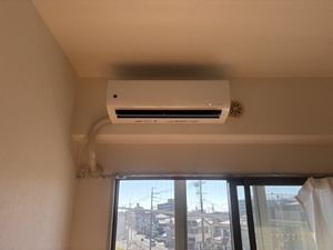 S__45908065_0.jpg