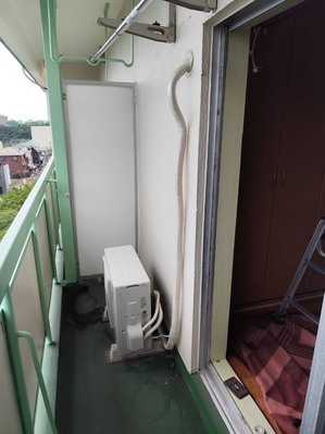S__45916172_0.jpg