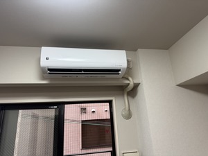 S__45981732_0.jpg