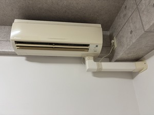 S__46030892_0.jpg