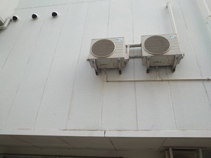 S__46039119_0.jpg