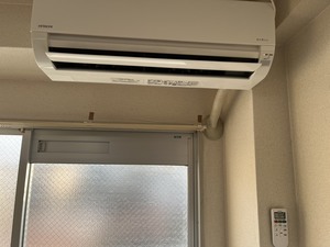 S__46096433_0.jpg